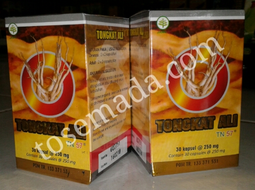 TONGKAT ALI TN 57 untuk mengatasi impotensi dan ejakulasi dini