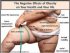 CARA MUDAH MENURUNKAN BERAT BADAN