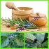 RAMUAN HERBAL SEMBELIT