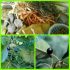 Obat Herbal Penyakit Kulit