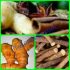 OBAT HERBAL TUKAK LAMBUNG