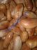 Biji Nangka