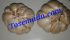 Tanaman Obat Kolesterol